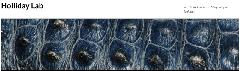 image of Holliday Lab header