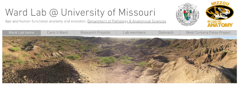 image of Ward Lab header